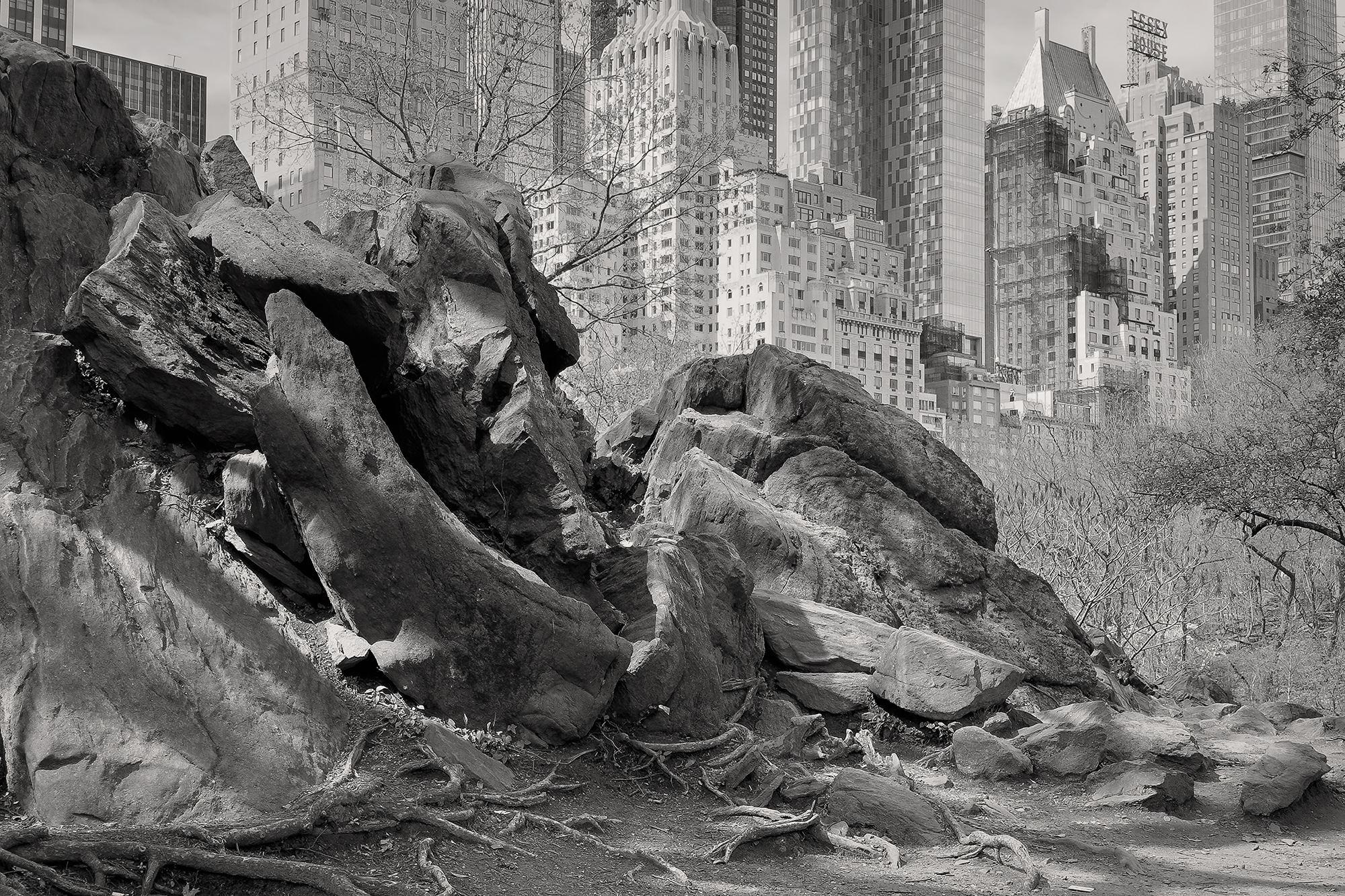 Christoph Radke, New York City, Central Park, 2024